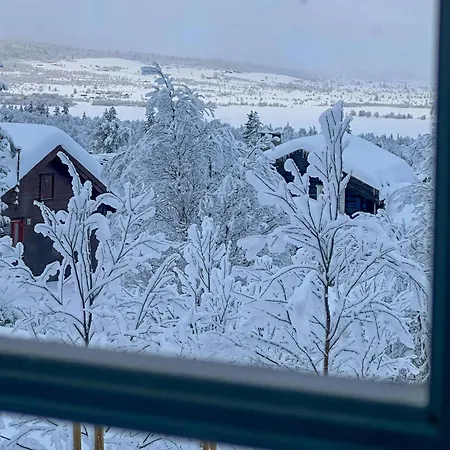 Near Gronnsenknipa With Skiing And Hiking Semesterbostad Ron