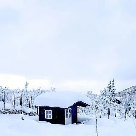 Near Gronnsenknipa With Skiing And Hiking Рон