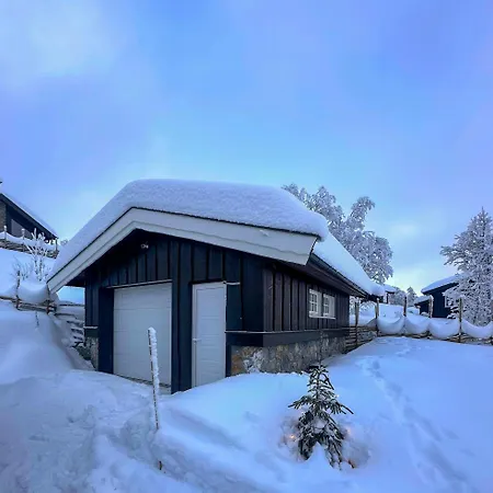 Near Gronnsenknipa With Skiing And Hiking Ron