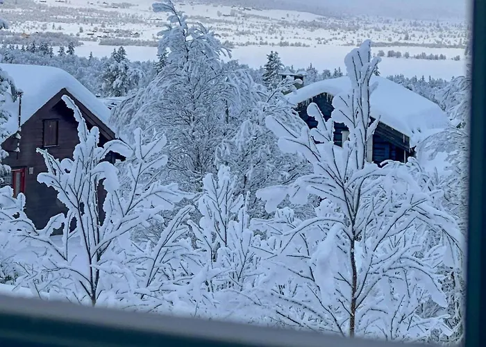 Near Gronnsenknipa With Skiing And Hiking Semesterbostad Ron