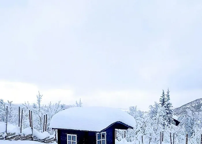 Near Gronnsenknipa With Skiing And Hiking Ron