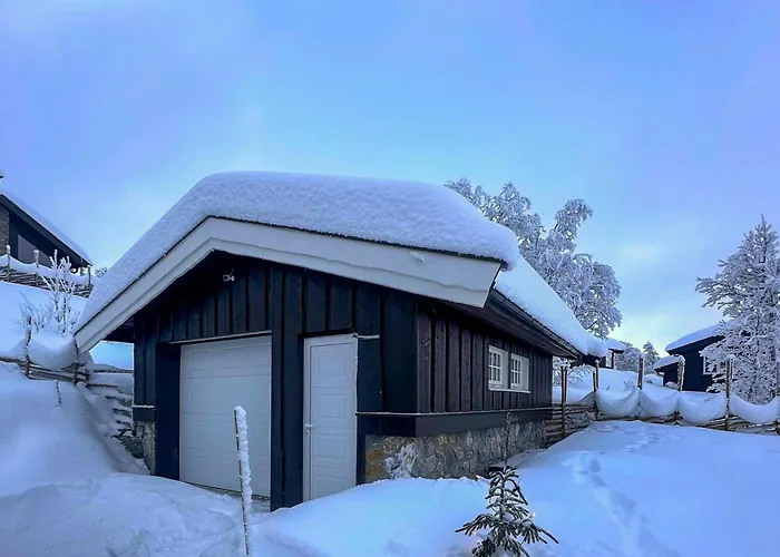 Near Gronnsenknipa With Skiing And Hiking Ron