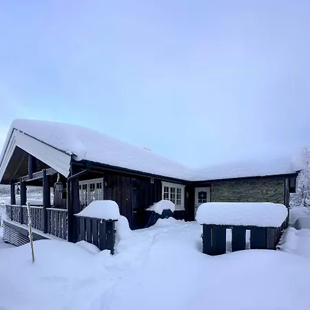 Near Gronnsenknipa With Skiing And Hiking * Ron