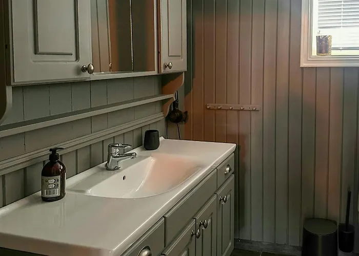 Near Gronnsenknipa With Skiing And Hiking * Ron